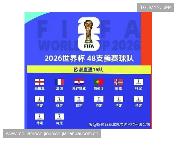世界杯英格兰对阵克罗地亚比赛中红牌数详细统计与分析