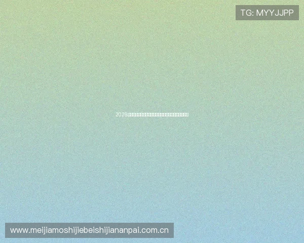 2026世界杯新西兰与埃及比赛战术解析及关键球员表现总结